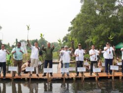 Peringati Hari Mangrove Sedunia, Apical Percepat Perlindungan Ekosistem dengan Penanaman 3.000 Pohon Mangrove di Jakarta
