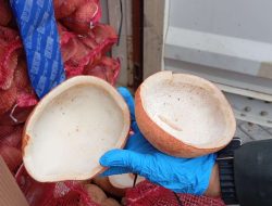 Sertifikasi Karantina DKI Jakarta: Jaminan Mutu Kopra Indonesia Tembus Bangladesh