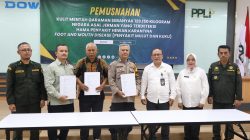 Jaga Ketahanan Pangan, Barantin Musnahkan 129 Ton Kulit Impor Positif PMK dan LSD