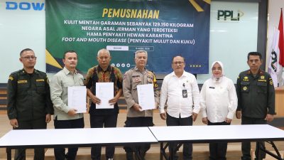 Jaga Ketahanan Pangan, Barantin Musnahkan 129 Ton Kulit Impor Positif PMK dan LSD